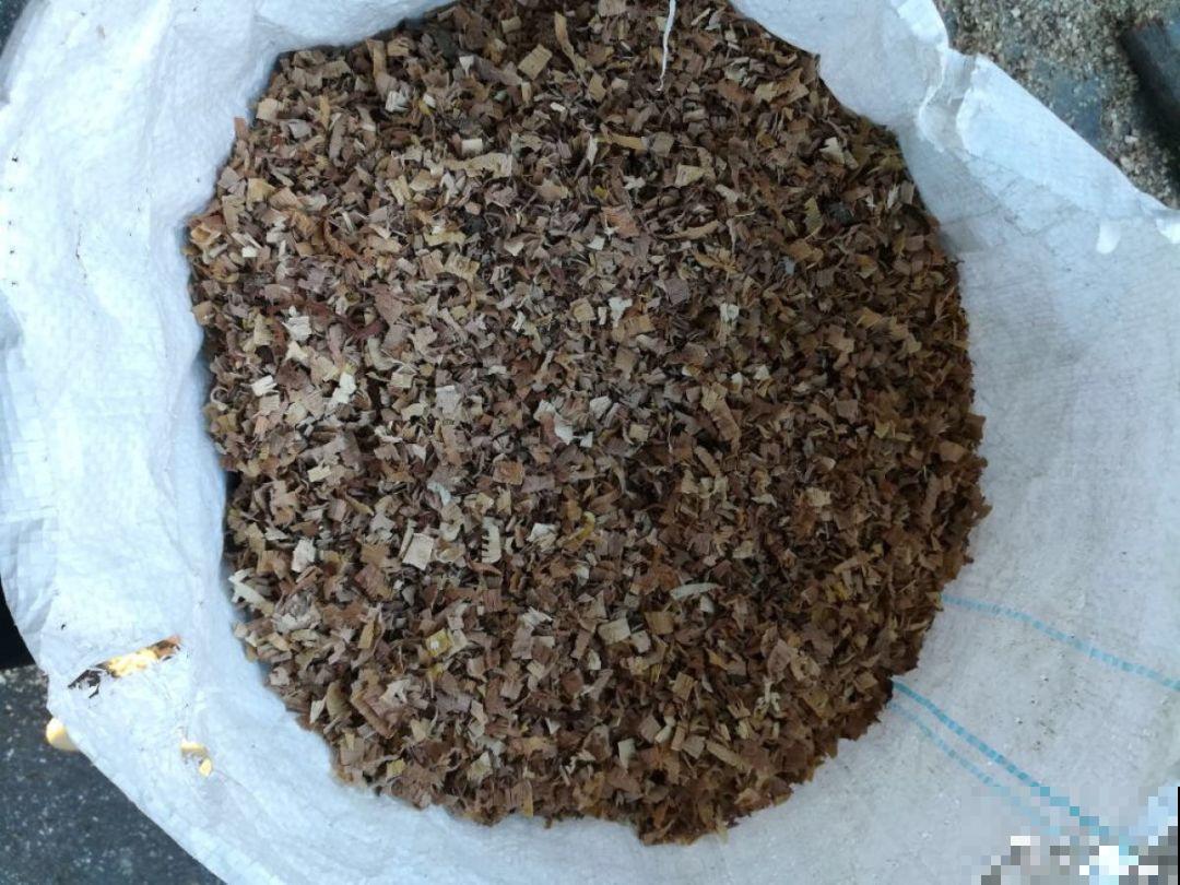 路边捡点它，开水里一烫捂2周，比淘米水肥效果还高！