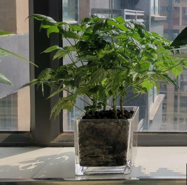别管不住自己的手，越是贱养的花，才能够轻松的爆盆！