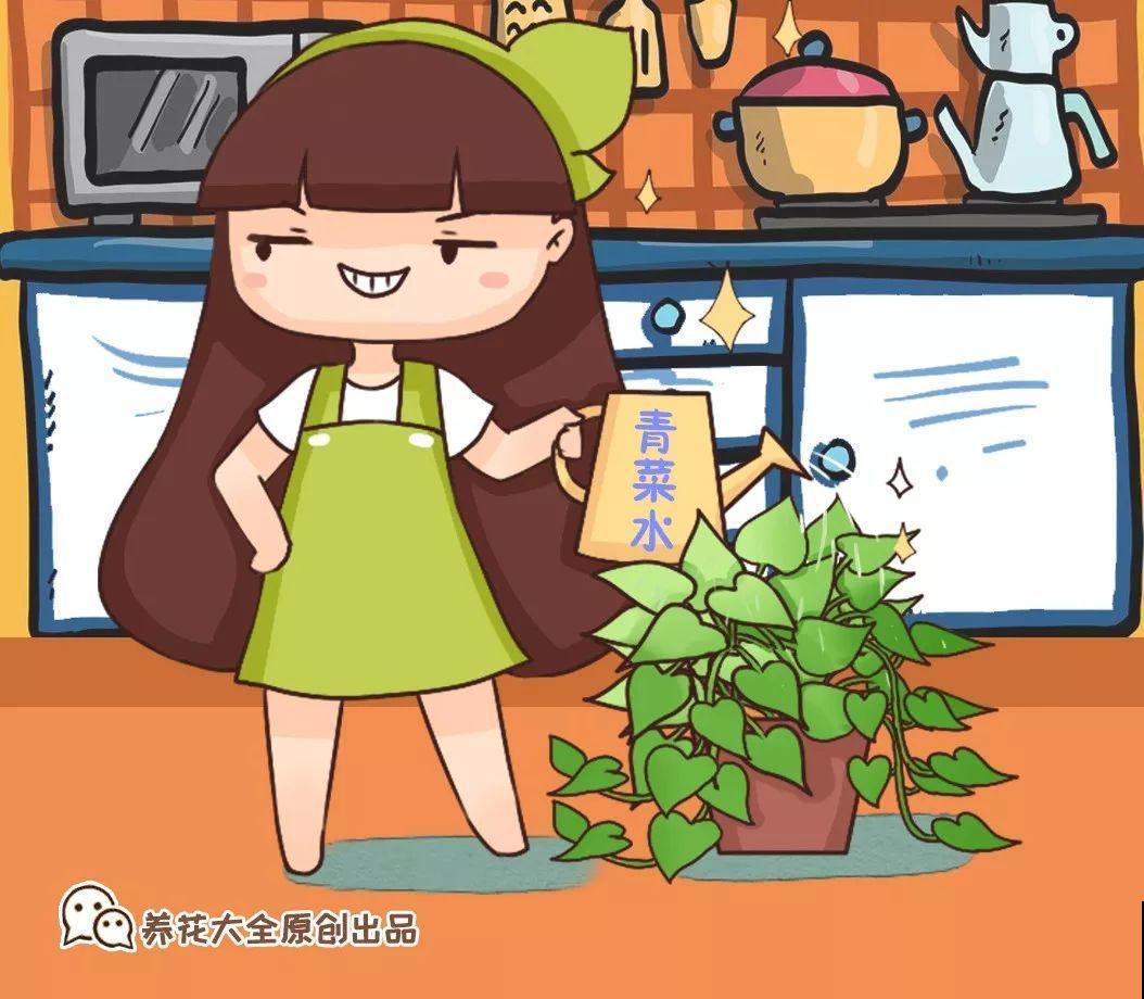 秋天爱疯长的花，剪1刀、喂点肥，新芽立马撑爆盆！