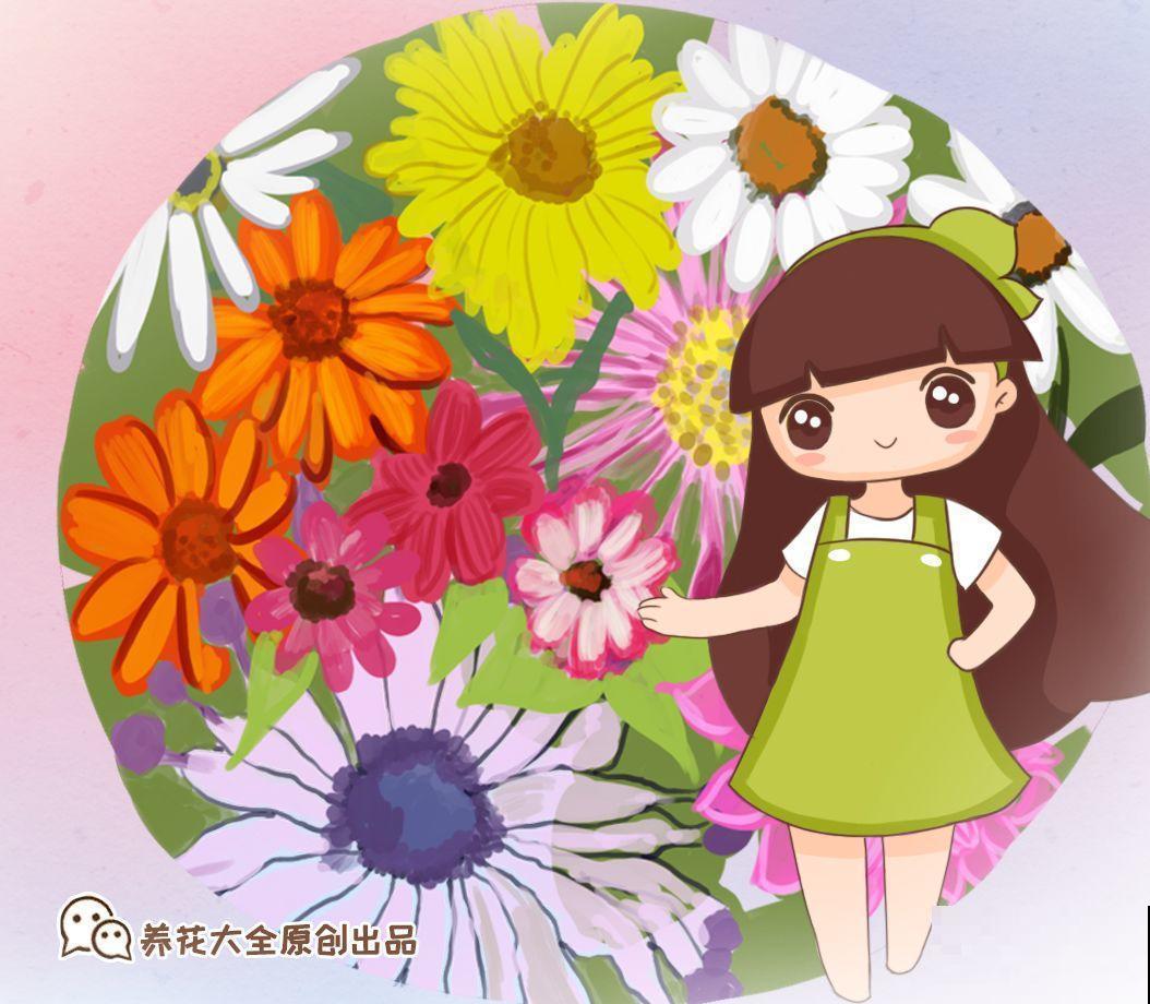 9月，这6种菊花最受欢迎，开花又密又多，摆哪里都是花园！