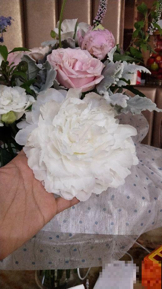 这种植物离不开施肥，方法用对了，花开出来比公园里还好看！