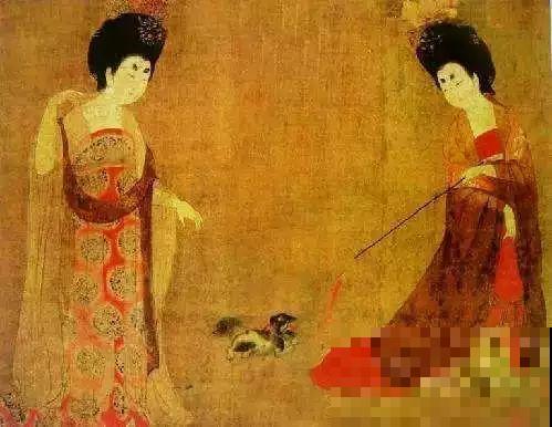 这花开得超喜庆，秋天挂满大红果，养在家里真有面儿