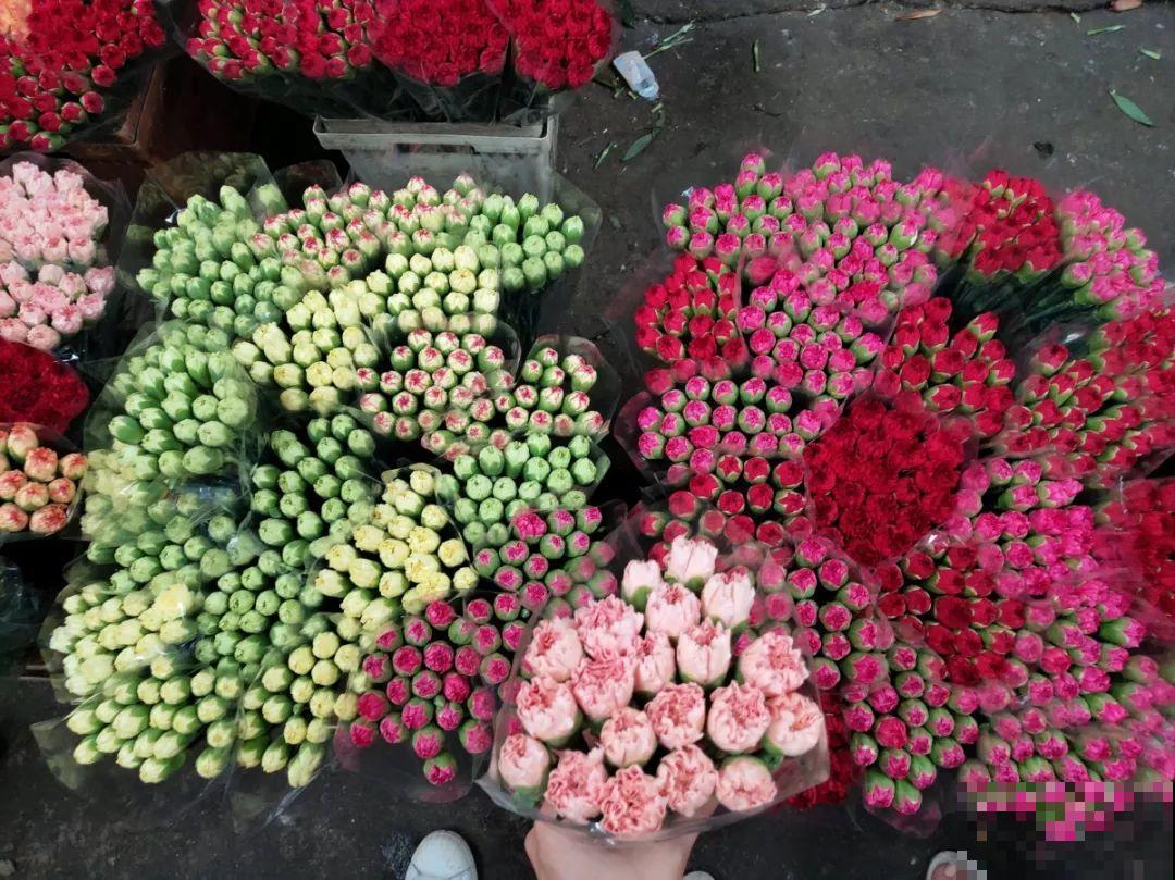 9月份逛花市，这花最好看、最好养，放心抱回家！