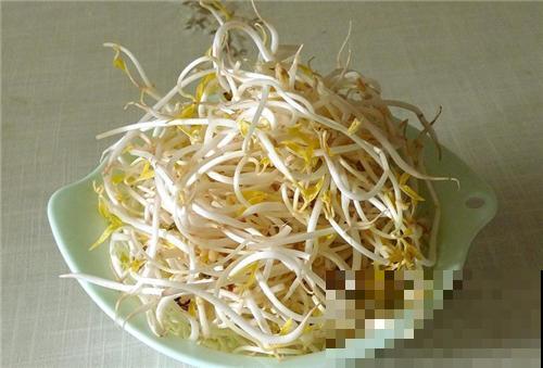 家里有黄豆，自己闷，就能闷出豆芽菜！