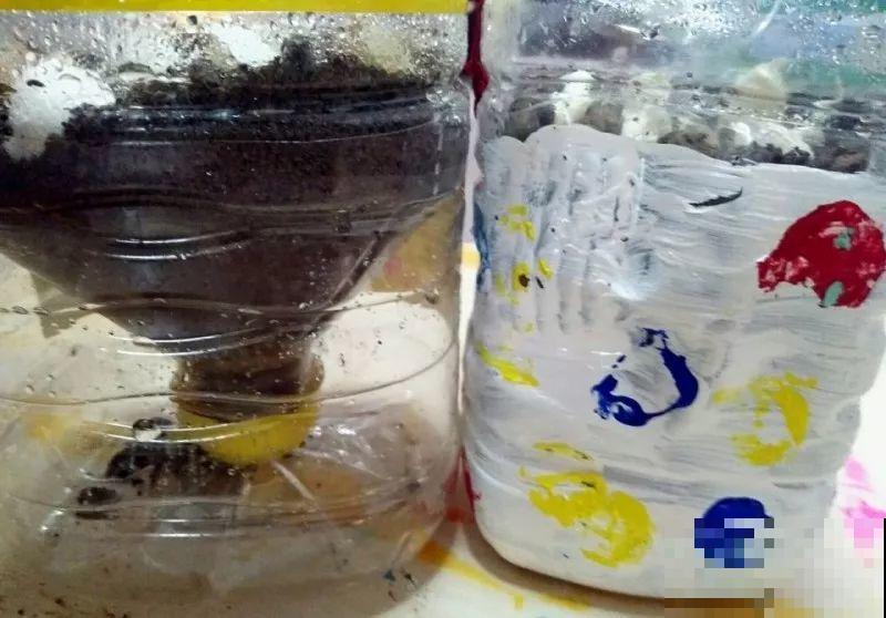 剩下的空油桶先别扔，教你变废为宝，半月不浇水也没事！