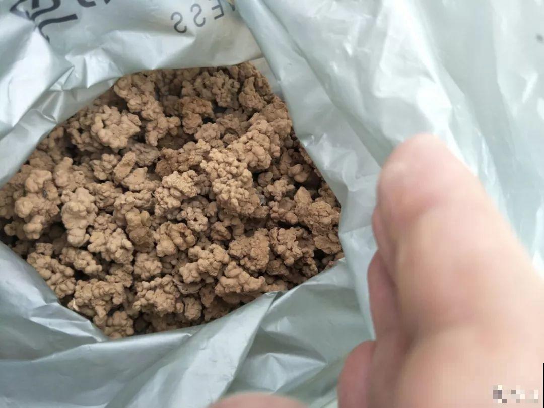 换盆的旧土别扔了，加点它闷一闷，又肥得流油！