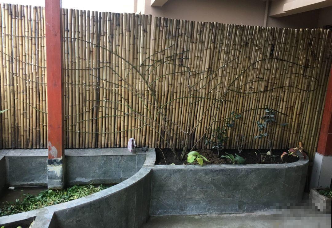 他家的露台，转眼一年大变身，赏花喝茶，像诗一样的生活！