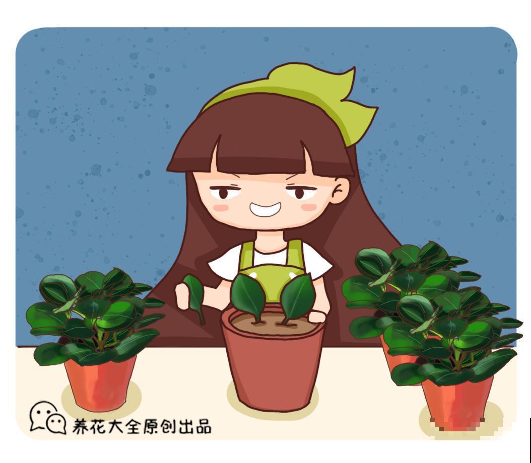 生活中常见，容易被忽视的几种有毒的植物，一招教你识别