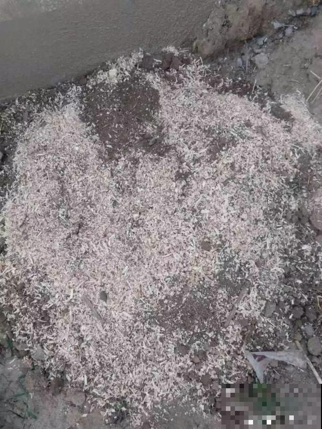 旧土也有新用处，看完涨姿势，少走冤枉路