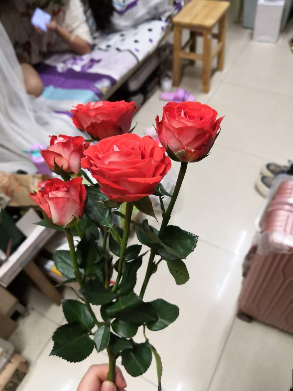 除了玫瑰，最受情侣欢迎的花是什么？不再为选花发愁