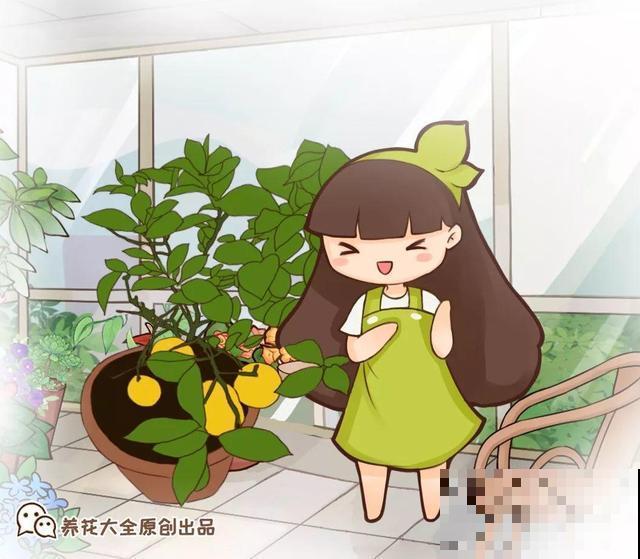 花香堪比香水，邻居大妈都追着问，眼馋极了