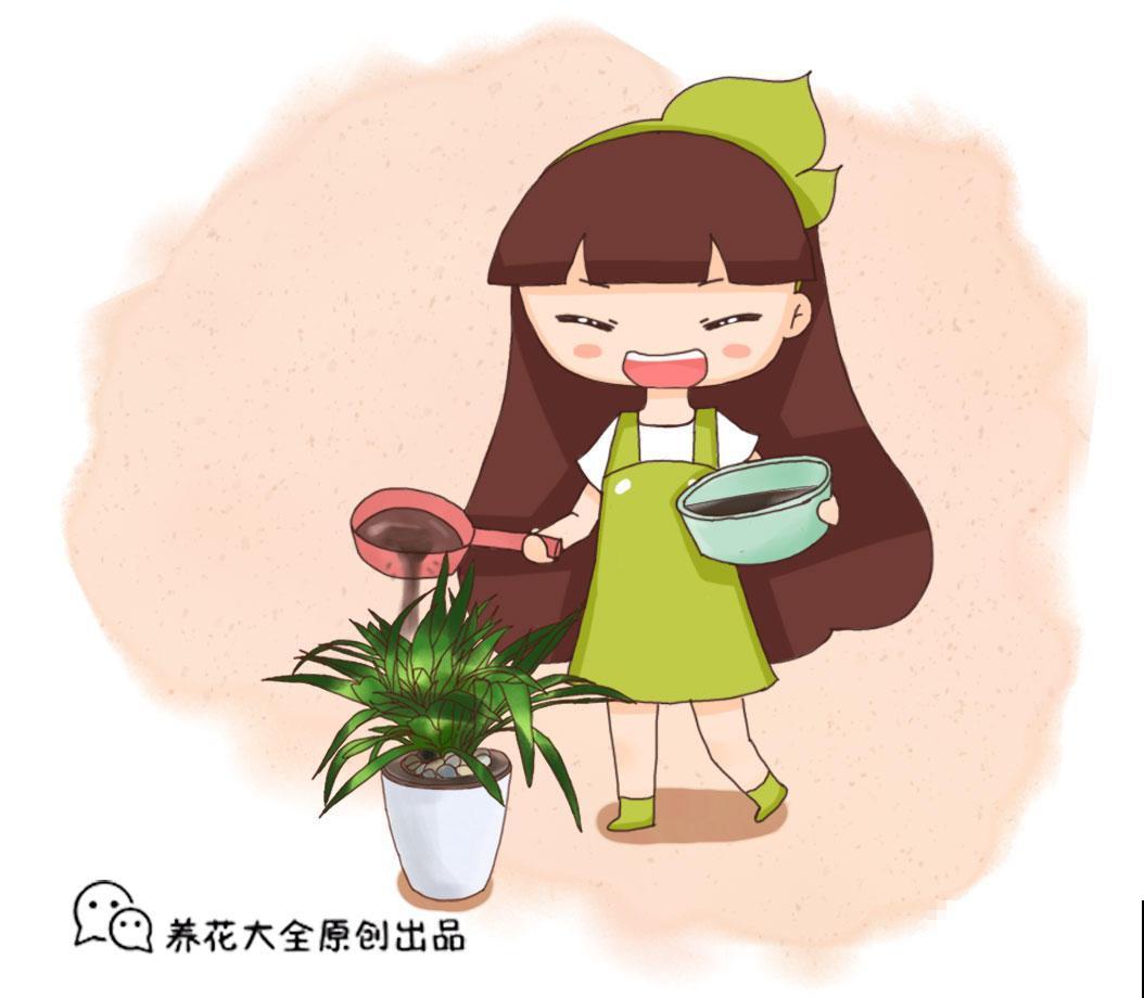 原来这些花爱吃醋，叶子绿，开花快，以后养花不用愁！