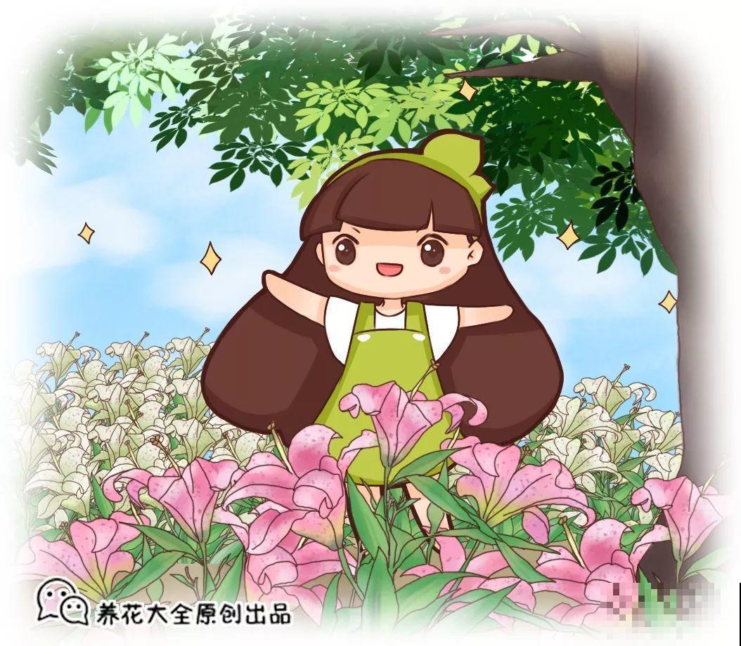 这10种花都是成片开，院子里栽一棵，春天开成小花园！