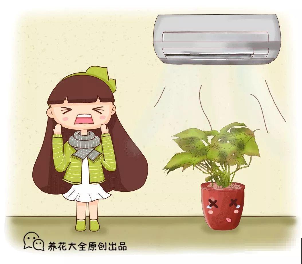 家里这4个地，养啥花都爱死，尤其是秋天！