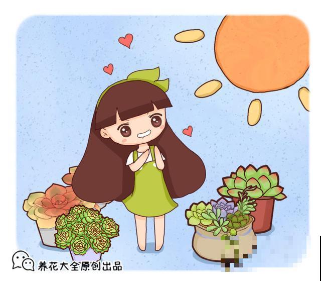 值得你养护的几种植物，容易养还有奇香，养好了家里天天香气弥漫