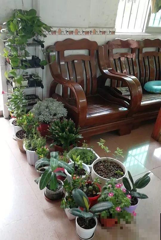 10月养花，这3点没注意，容易把花养死