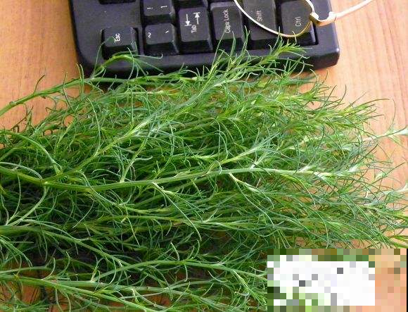 这野草让美国没招到头痛，中国人脑筋一转变成宝，不得不服的智慧