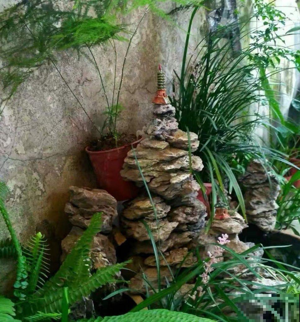 16岁男孩，为重病奶奶建花园，2年种了上百盆花！