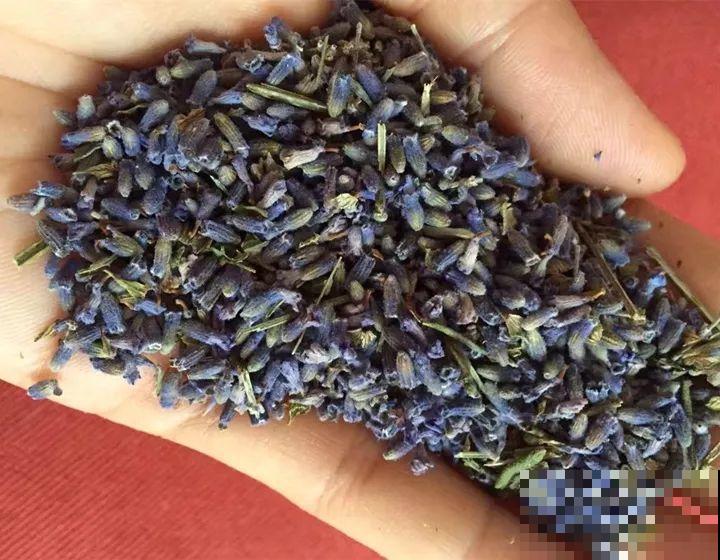 这花养一盆，满屋飘香，摘下来还能泡水喝！