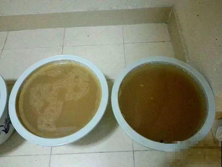 路边捡点它，开水里一烫捂2周，比淘米水肥效果还高！