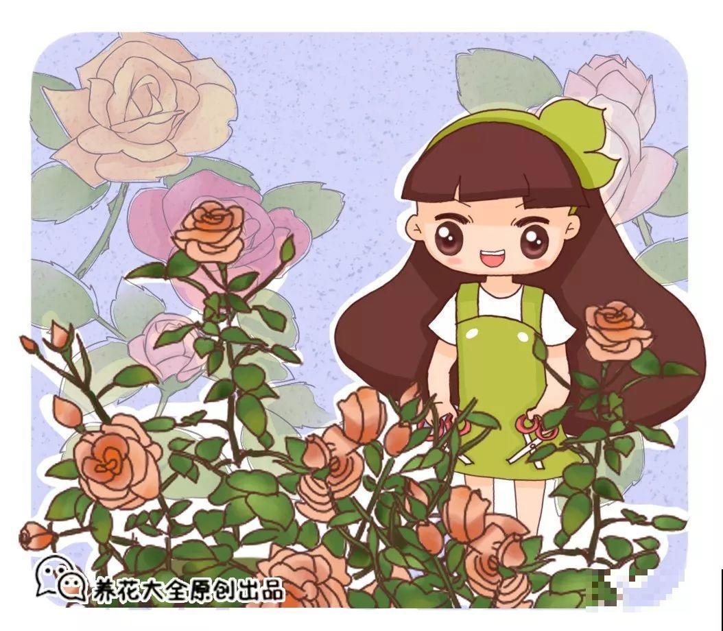 最难扦插的花，蘸点它插土里，20天白根蹭蹭冒！