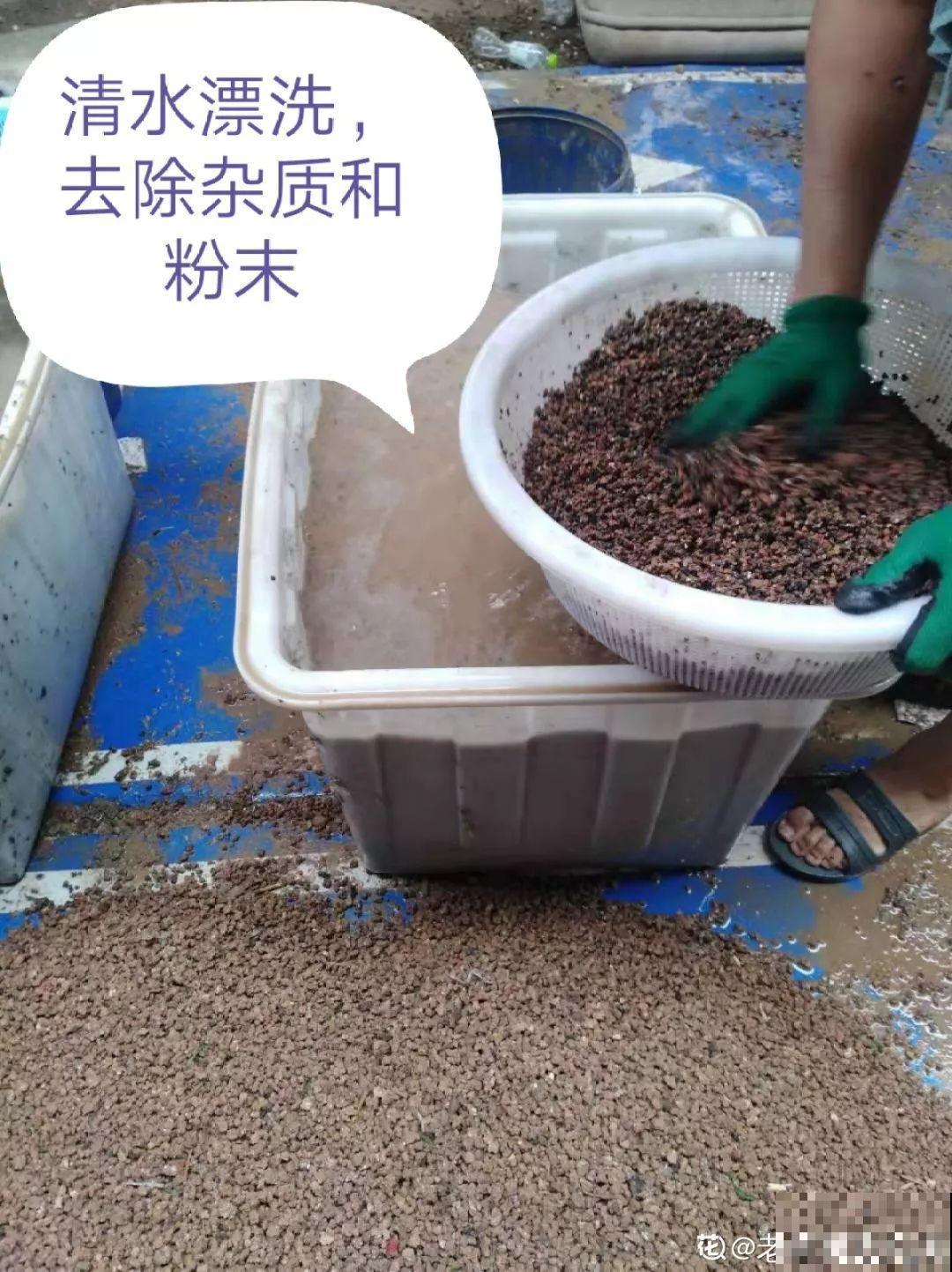别人扔的东西，我捡回家垫盆底，养花不烂根不生病！