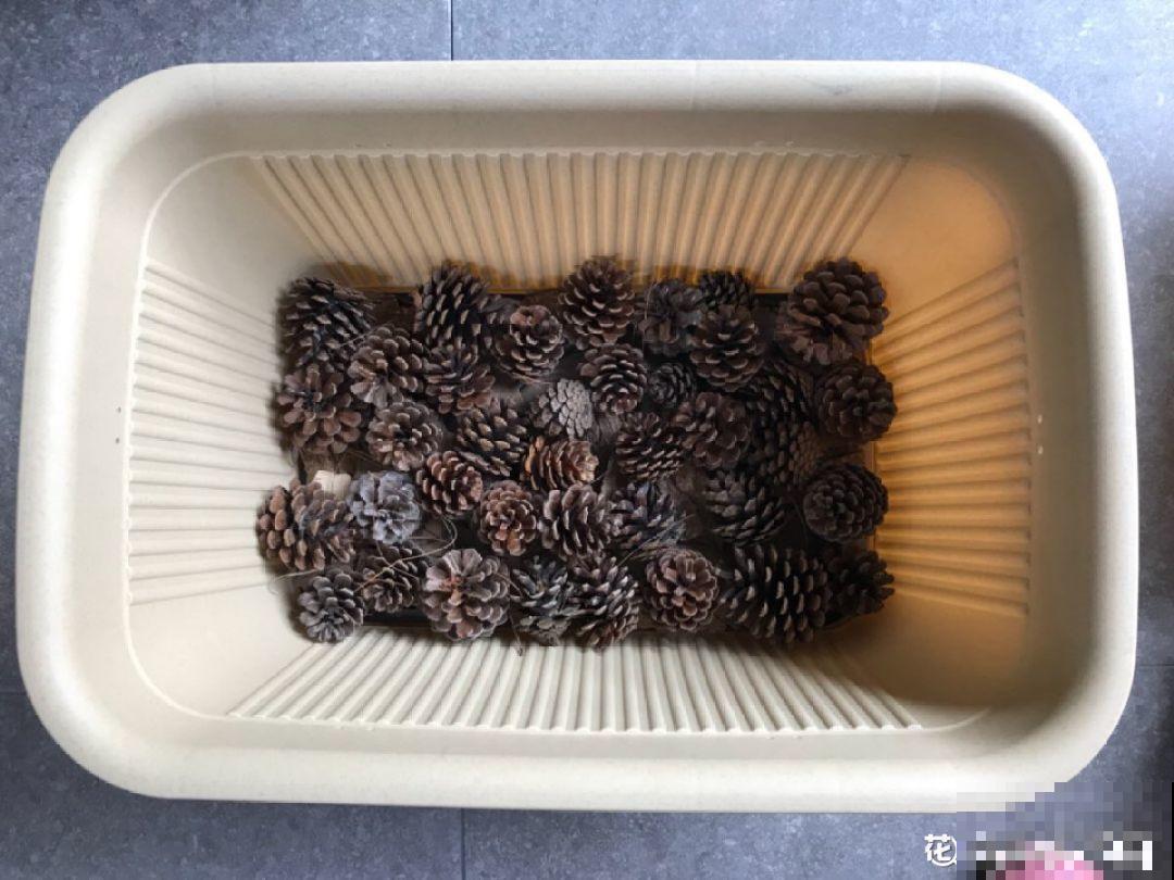 路边捡点它，开水里一烫捂2周，比淘米水肥效果还高！