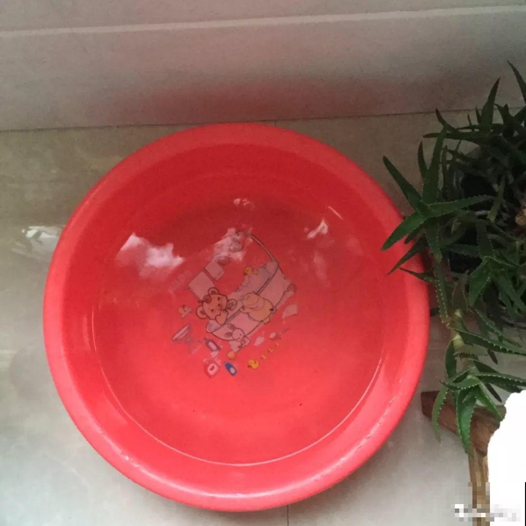 秋天不长反而掉叶子？浇点这种水，不用换土也能治好！