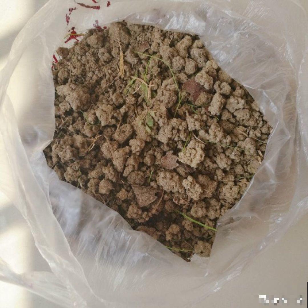 路边捡点它，开水里一烫捂2周，比淘米水肥效果还高！