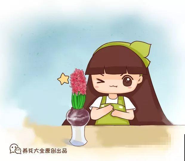 秋冬把它扔水里，不用施肥就开花，比绿萝还好养！