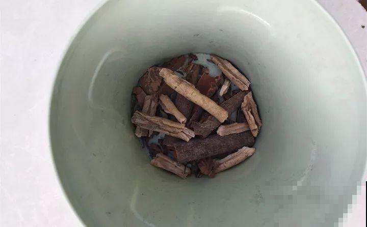 出门捡点它，正好秋天换盆用，花越养越茂盛！