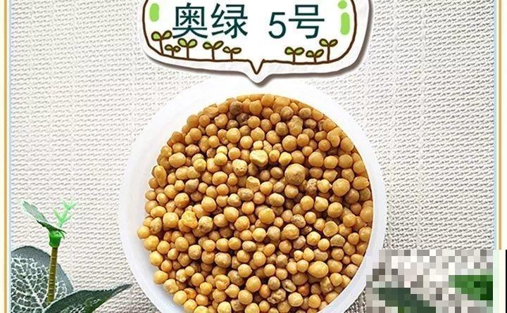 在家养花，这4点得弄明白，不然啥花也能毁在你手里！