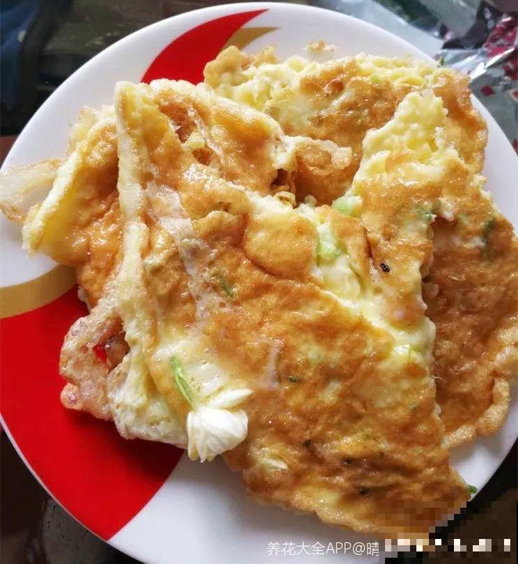 这花颜值高味还香，趁着没败摘两朵，用来做饭喷香！