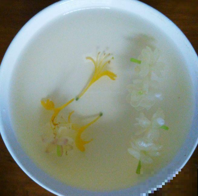 16岁男孩，为重病奶奶建花园，2年种了上百盆花！