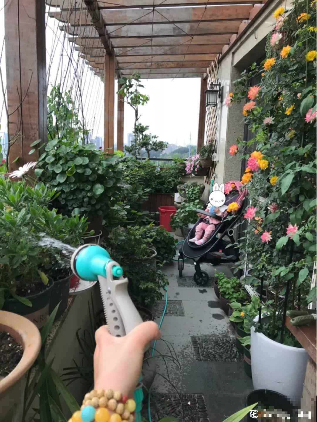 别嫌阳台小，种点花草，感觉真好！