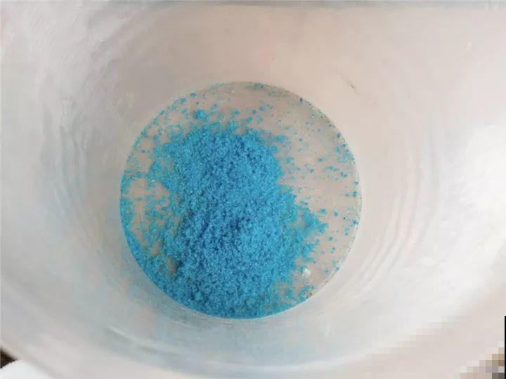 秋天给多肉施肥，就选这5种，小芽一个接一个的往外冒！