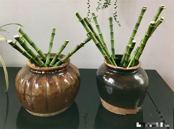 这花寓意极好，十块钱一捆，插水里就能活！