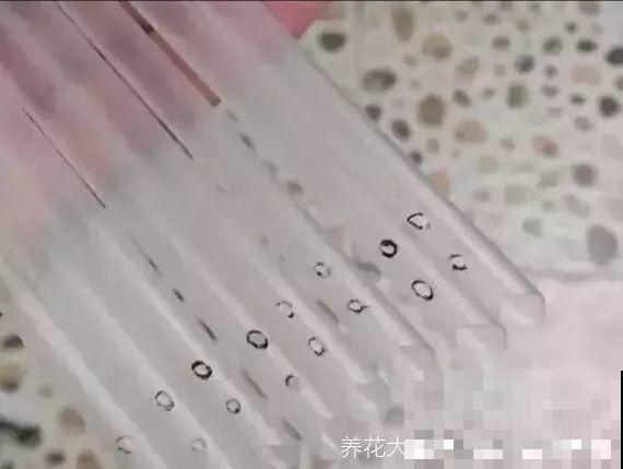 养肉的4个小窍门，一根吸管就搞定，就算黑腐也不怕！