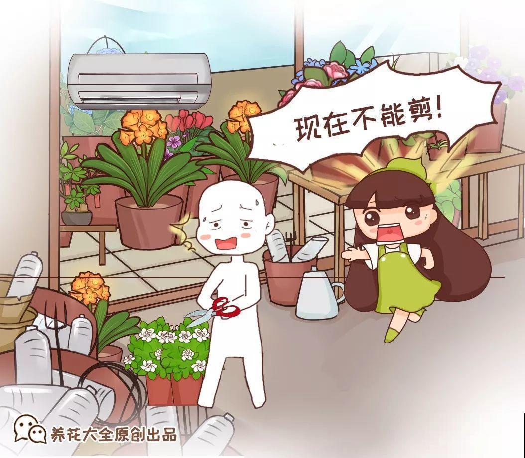 这10种花，秋天不要剪，不然白折腾还不开花！