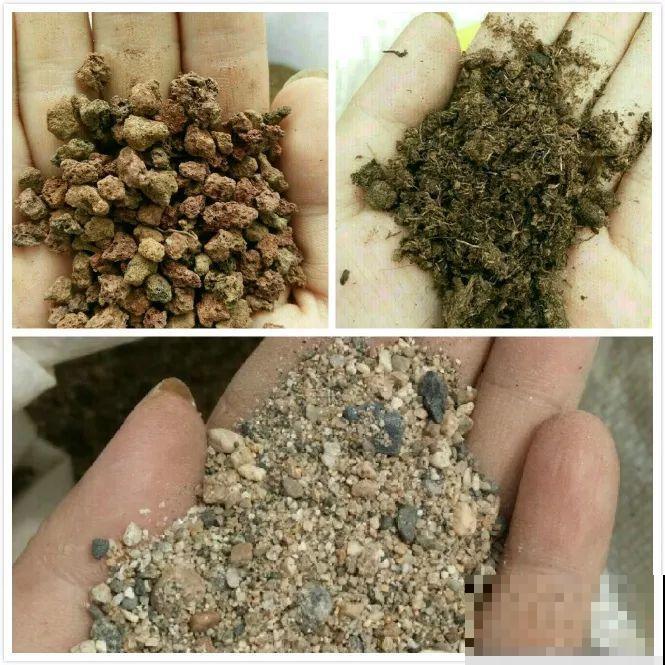 别人扔的东西，我捡回家垫盆底，养花不烂根不生病！