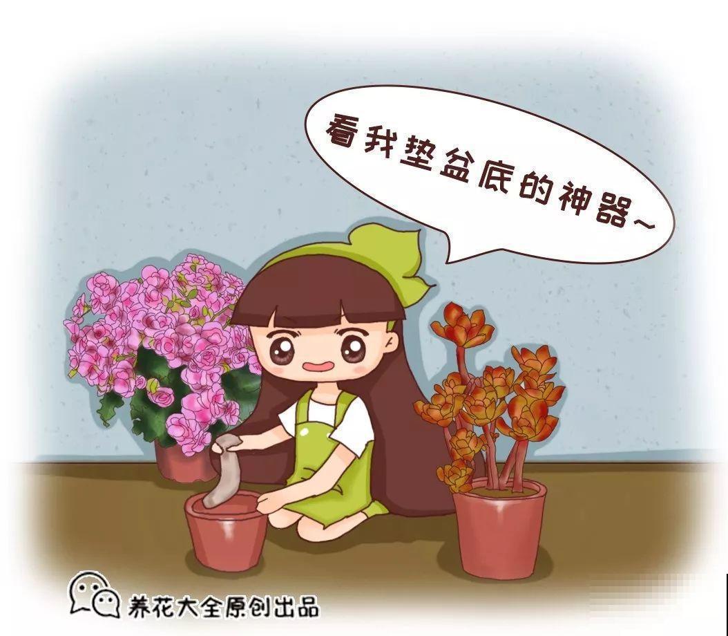 花盆里垫点它，浇点水就疯长，大白根挤满盆！