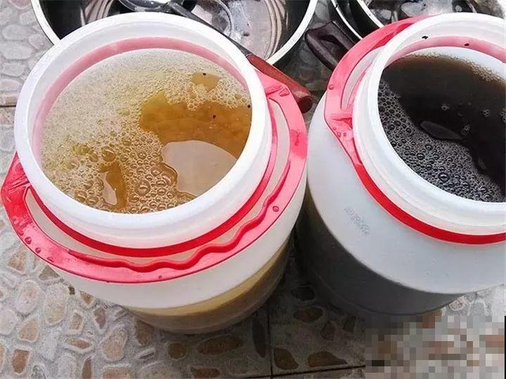 养花先养根，学一招，就能撑爆盆！