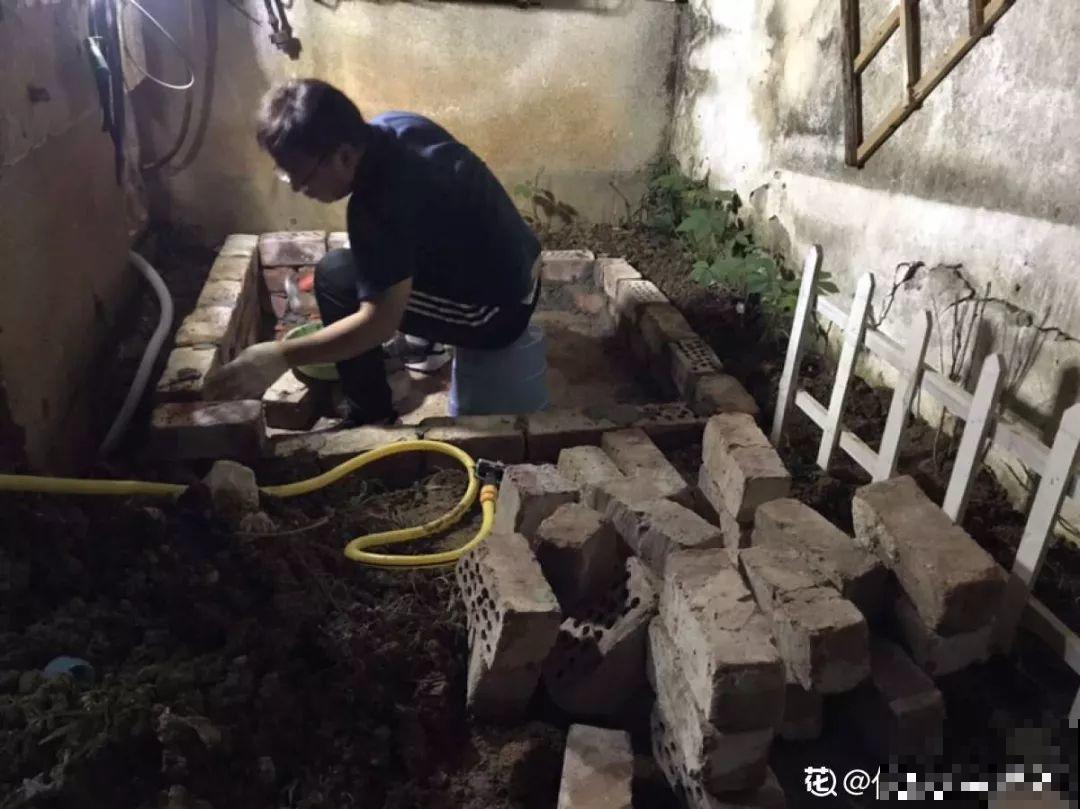 有个小院,养花喂猫,日子越过越充实! 有个小院,养花喂猫,日子越过越充实!