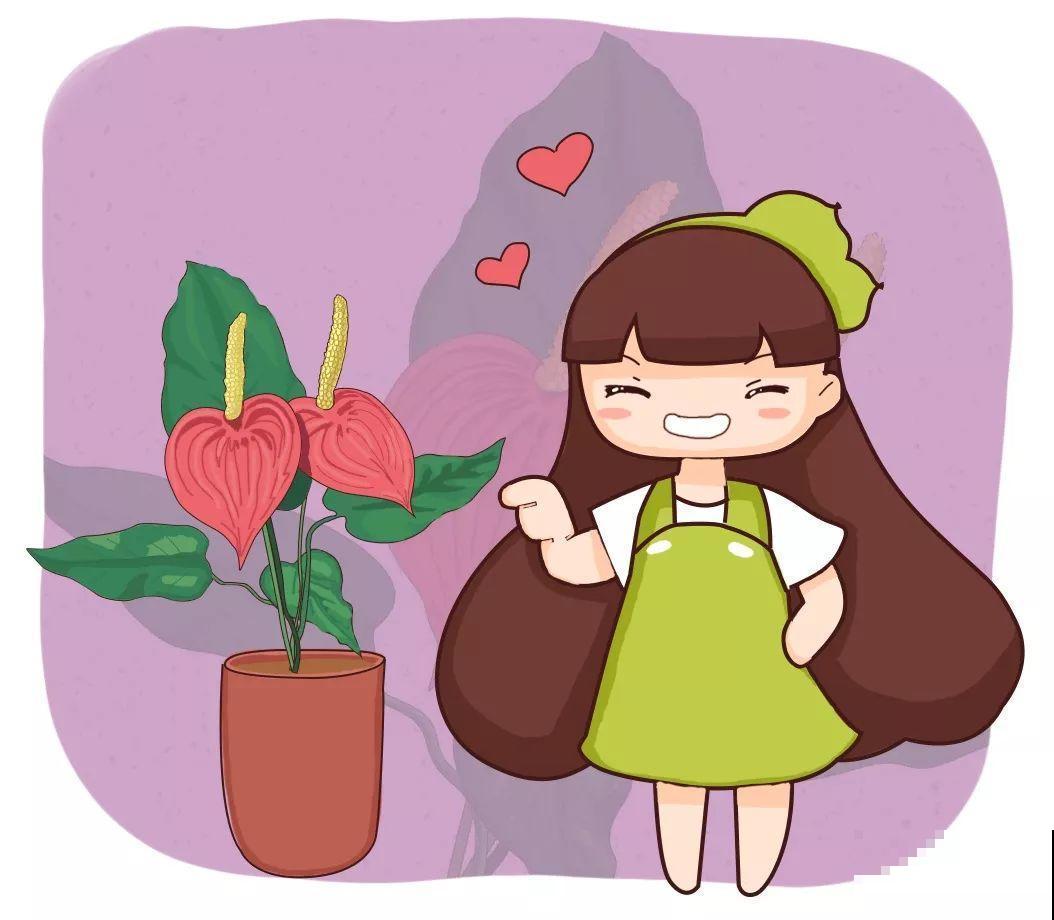这9种花，养一盆一年四季有的看，不知道的还以为是塑料花！