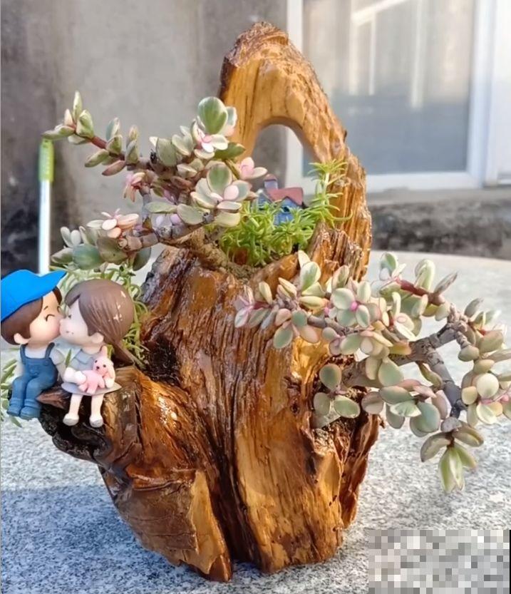 路边扔的木桩子，捡回家切几刀，种上花后多少钱也不卖！
