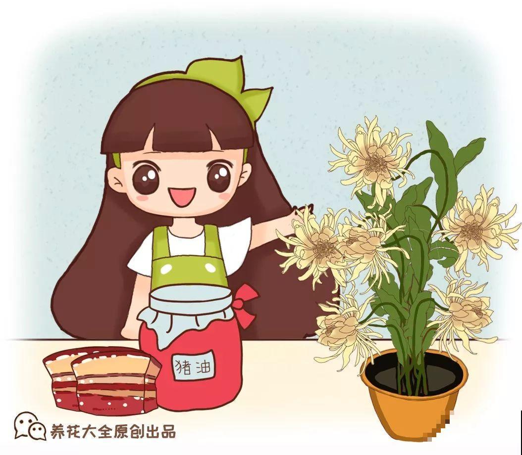 3种花爱吃油，秋天土里埋一勺，比施肥还管用！