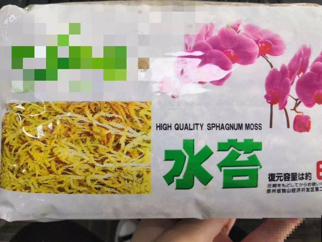 这种耐阴花，摆家里有格调，邻居串门都夸好看！