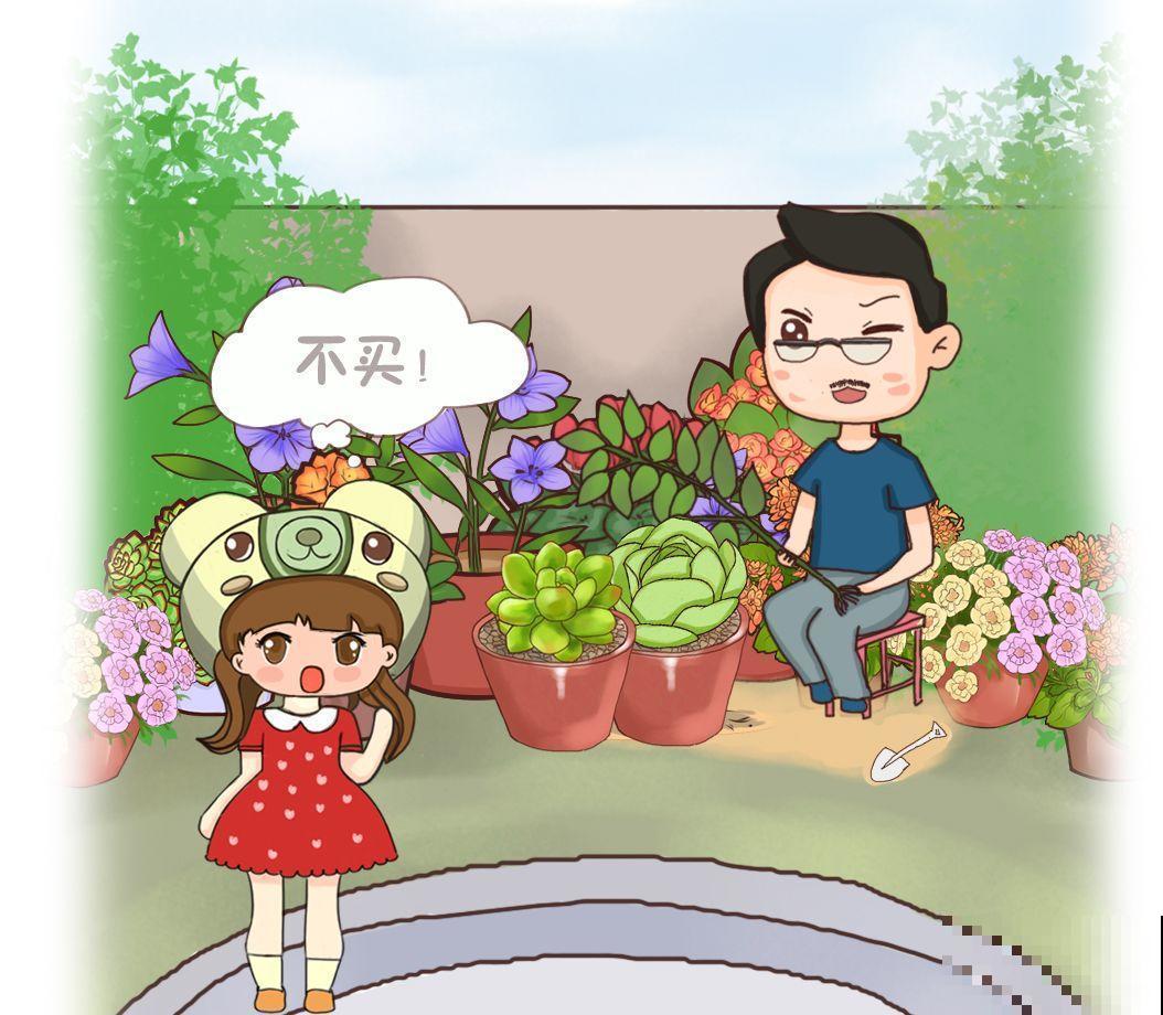 这几种多肉白送都不要，养不活还浪费钱，真坑！