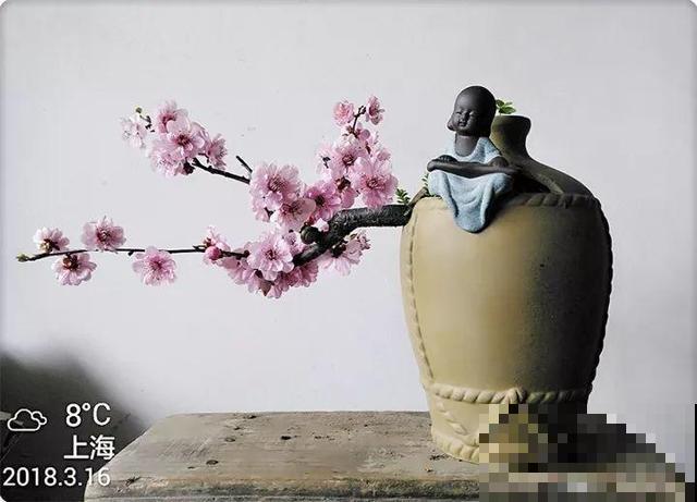 大爷不抽烟不喝酒，就爱捡酒瓶种花，养养就成传家宝