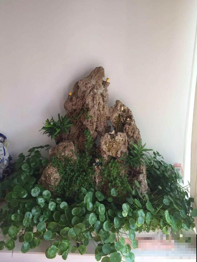 只要敢想，破瓦片也能做成景观，自己DIY比买的还漂亮！